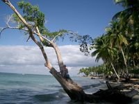 Beach of the Hotel CASAS DEL MAR NEPTUNIA - Las Terrenas - Dominican Republic